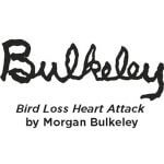 Morgan Bulkeley
